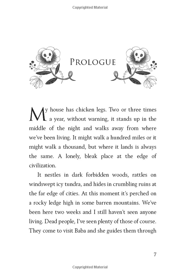 the house with chicken legs - Ảnh 5