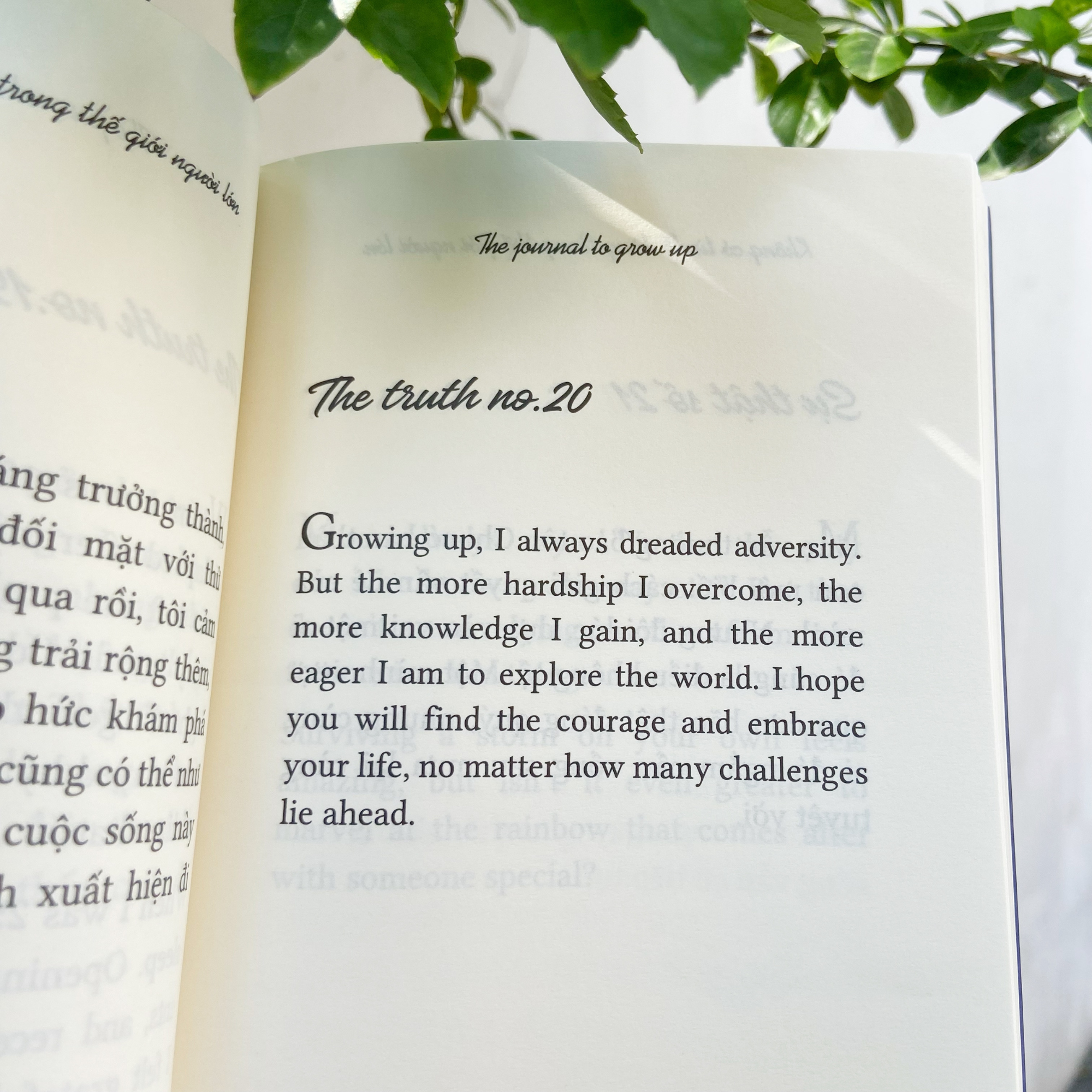 the journal to grow up - không có từ dễ dàng trong thế giới người lớn - Ảnh 4