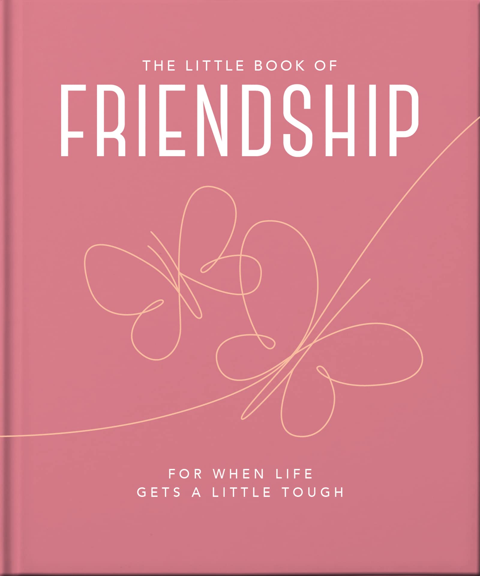the little book of friendship: for when life gets a little tough - Ảnh 8