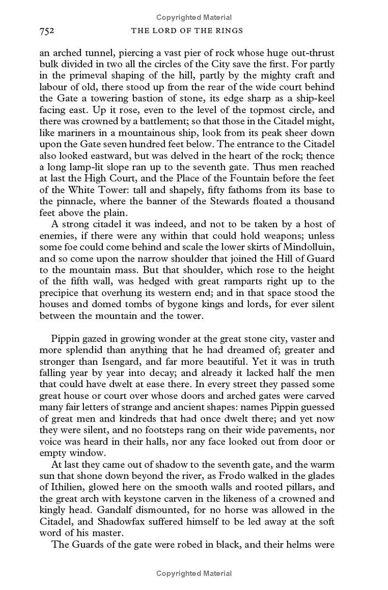 the lord of the rings: the return of the king - Ảnh 19