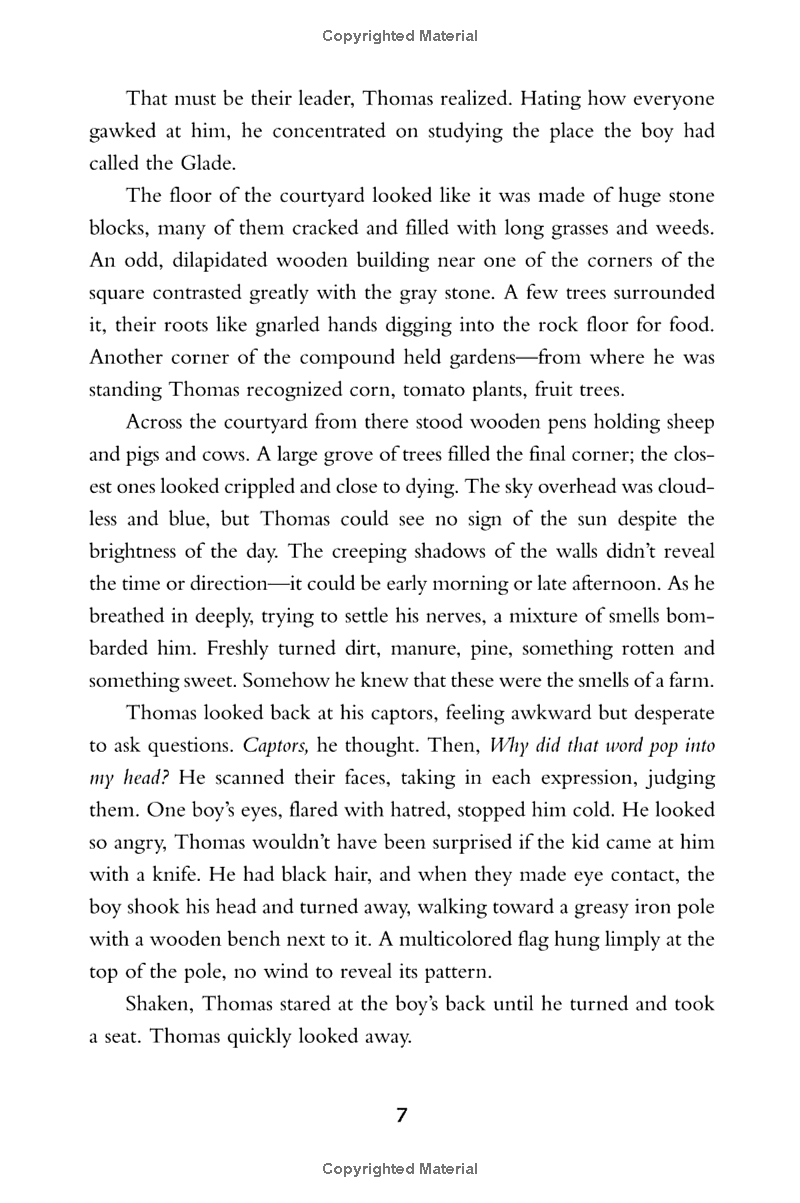 the maze runner - Ảnh 13