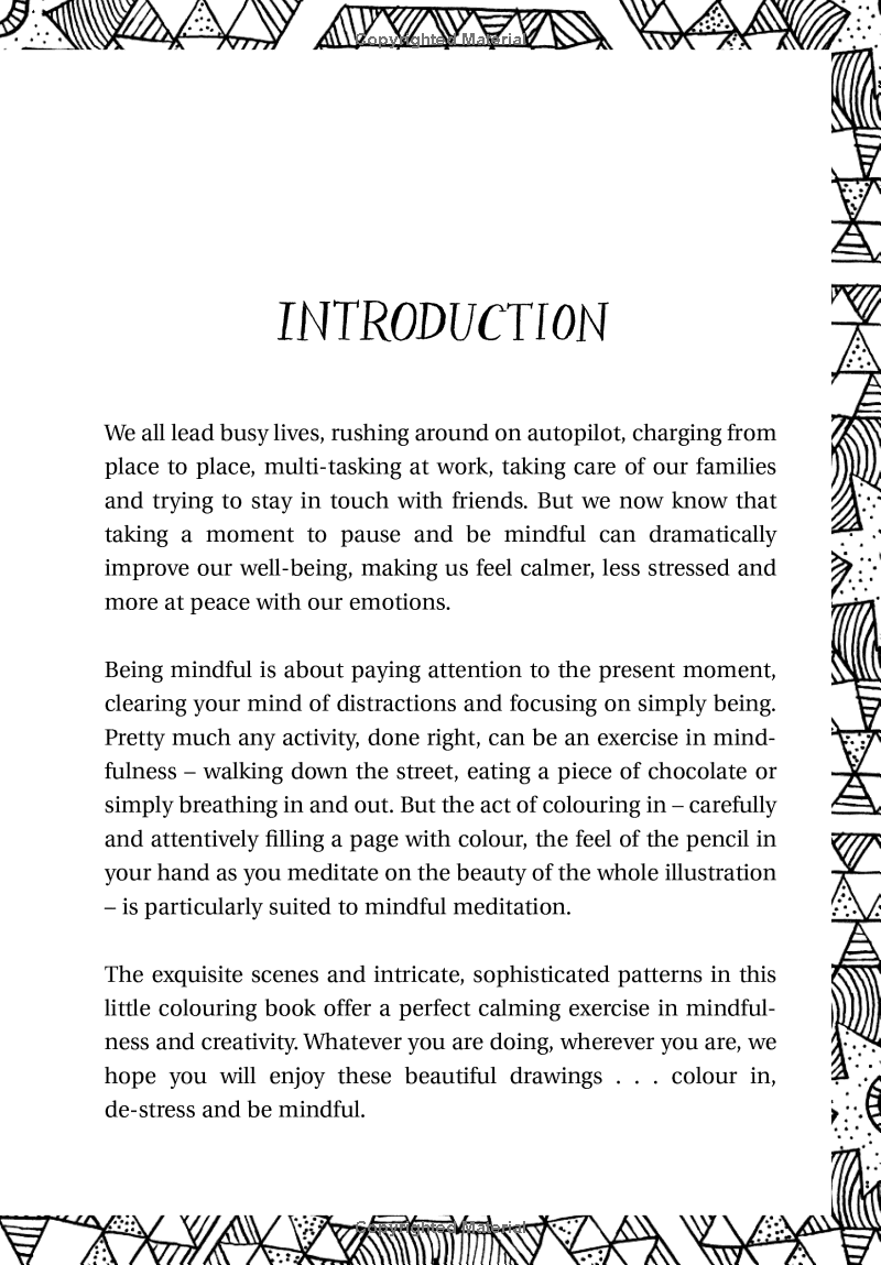 The Mindfulness Colouring Book : Anti-Stress Art Therapy for Busy People - Ảnh 7