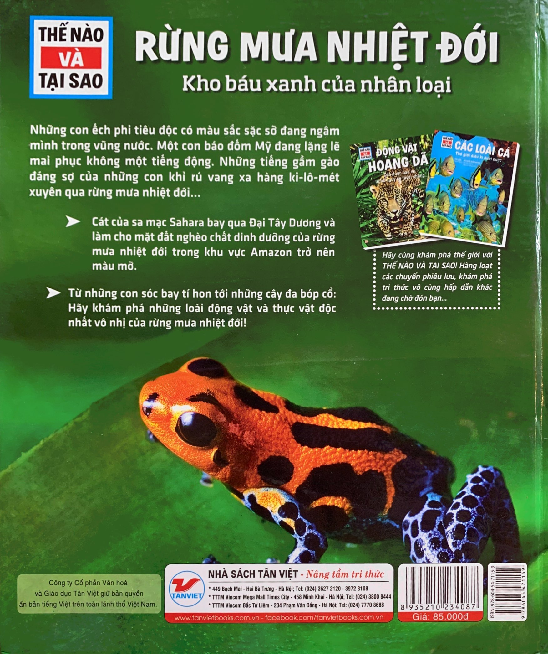 thế nào và tại sao - rừng mưa nhiệt đới - Ảnh 7