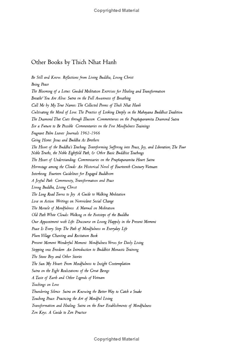the path of emancipation - Ảnh 4