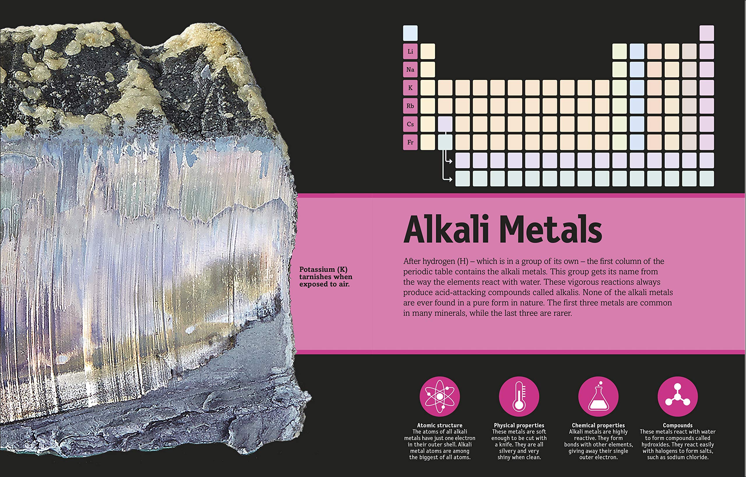 the periodic table book: a visual encyclopedia of the elements - Ảnh 2