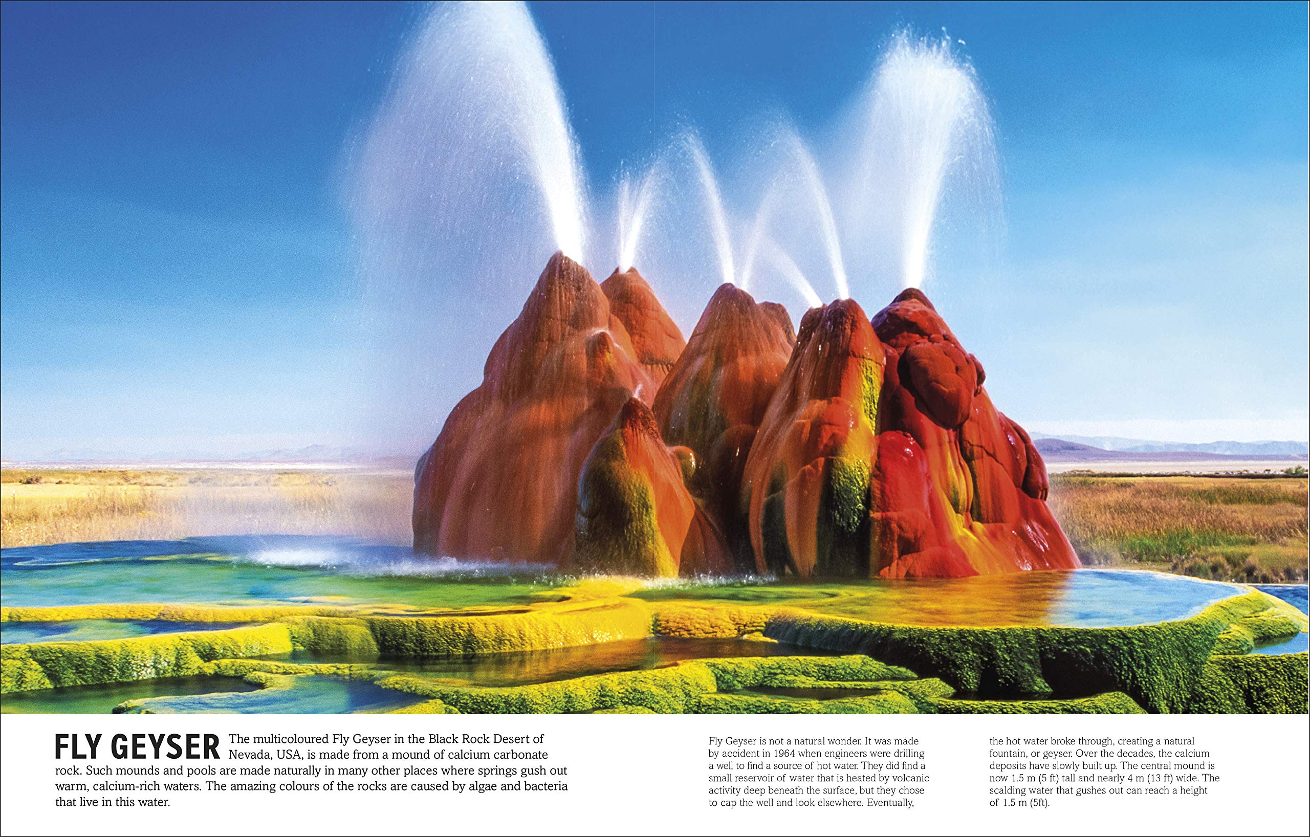 the periodic table book: a visual encyclopedia of the elements - Ảnh 9