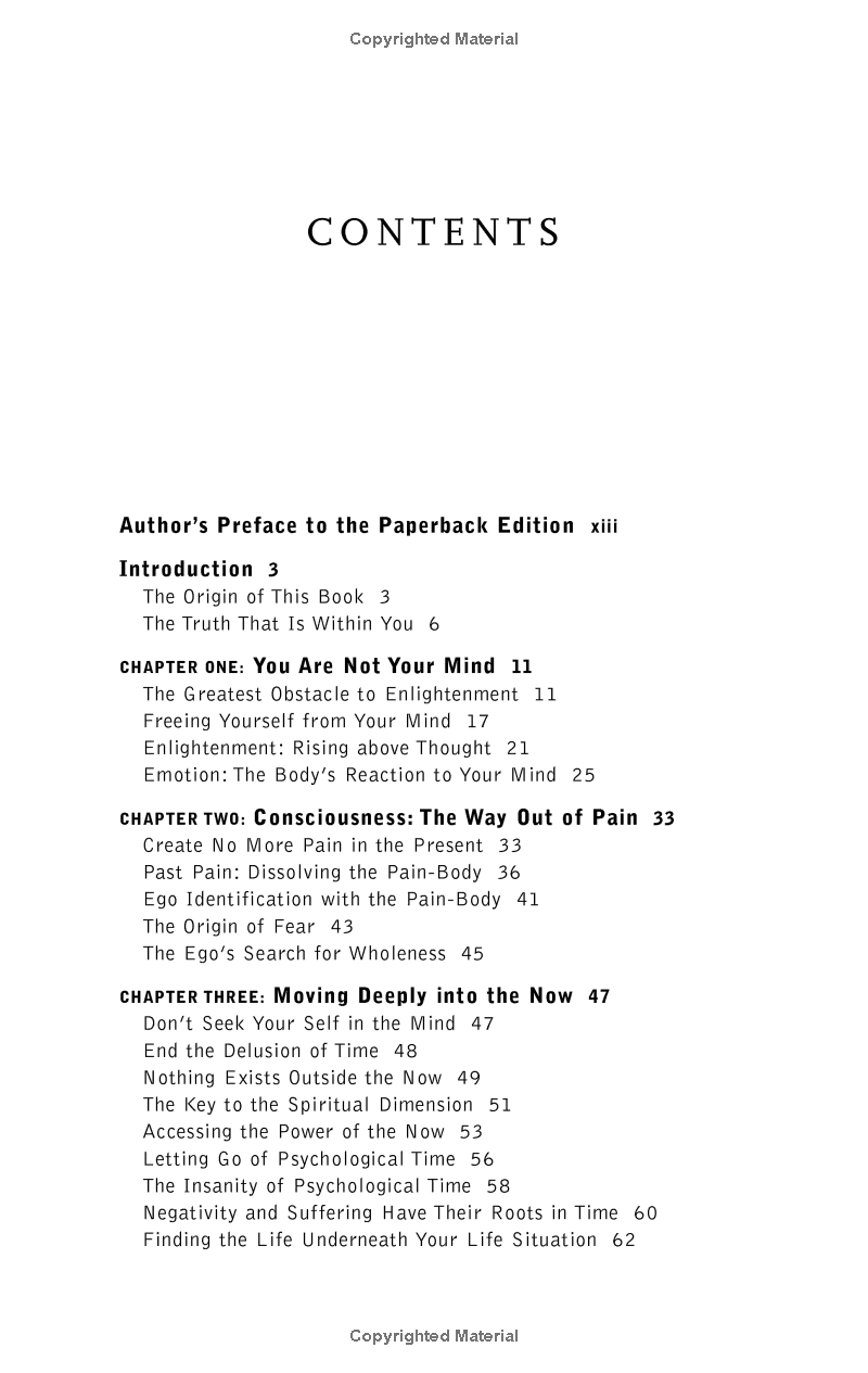 The Power Of Now: A Guide To Spiritual Enlightenment - Ảnh 7
