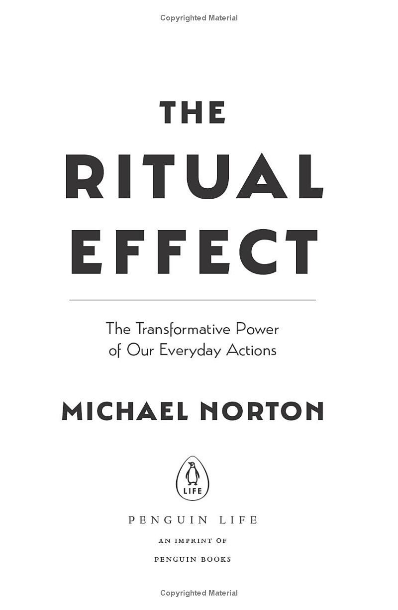 the ritual effect - Ảnh 2