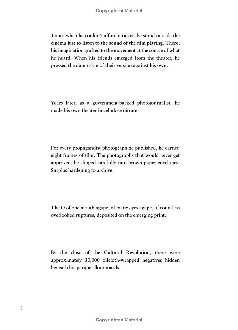 the rupture tense: poems - Ảnh 11