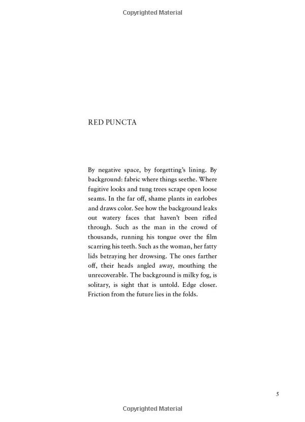 the rupture tense: poems - Ảnh 8