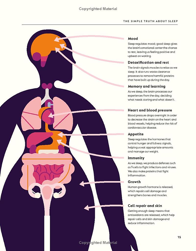 the science of sleep: stop chasing a good nightℹs sleep and let it find you - Ảnh 13