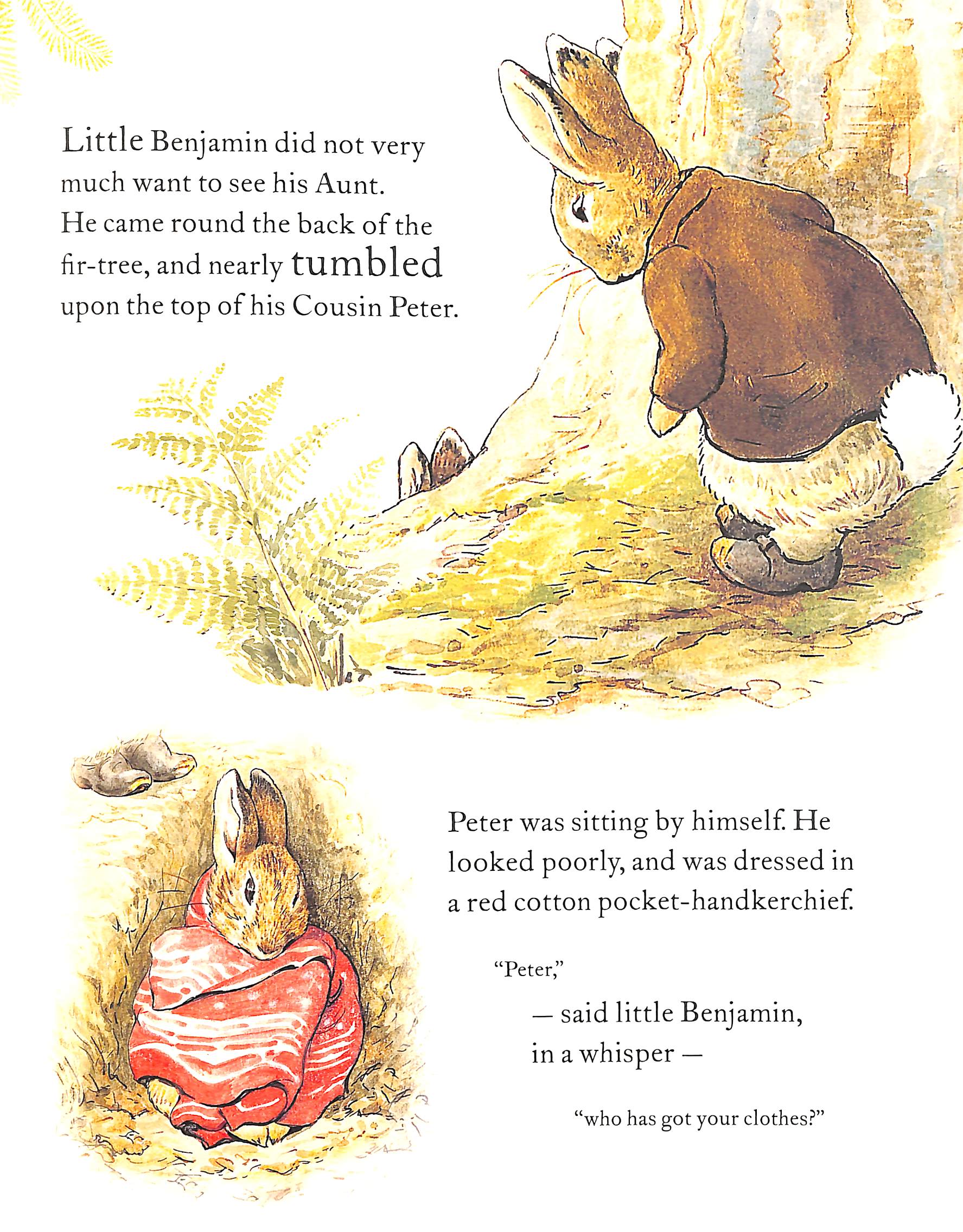 the tale of benjamin bunny picture book - Ảnh 6
