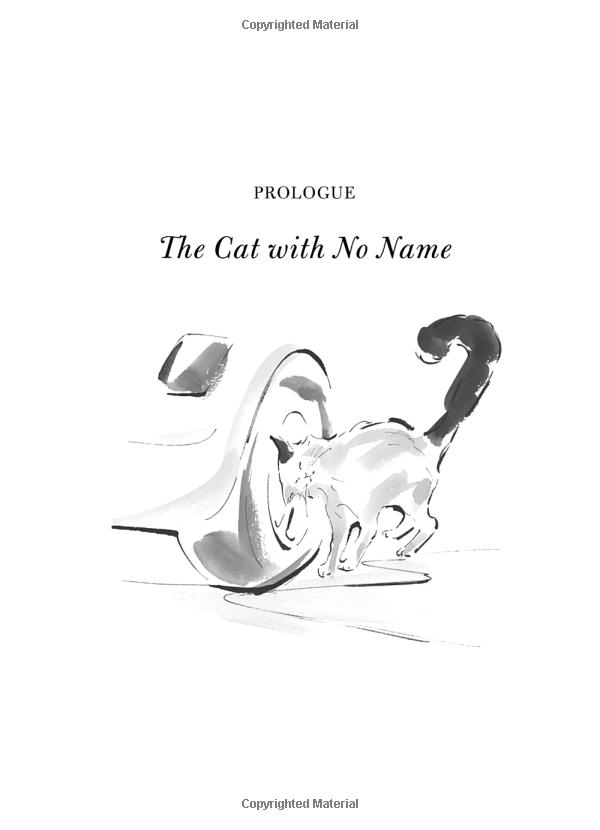 the travelling cat chronicles - Ảnh 2