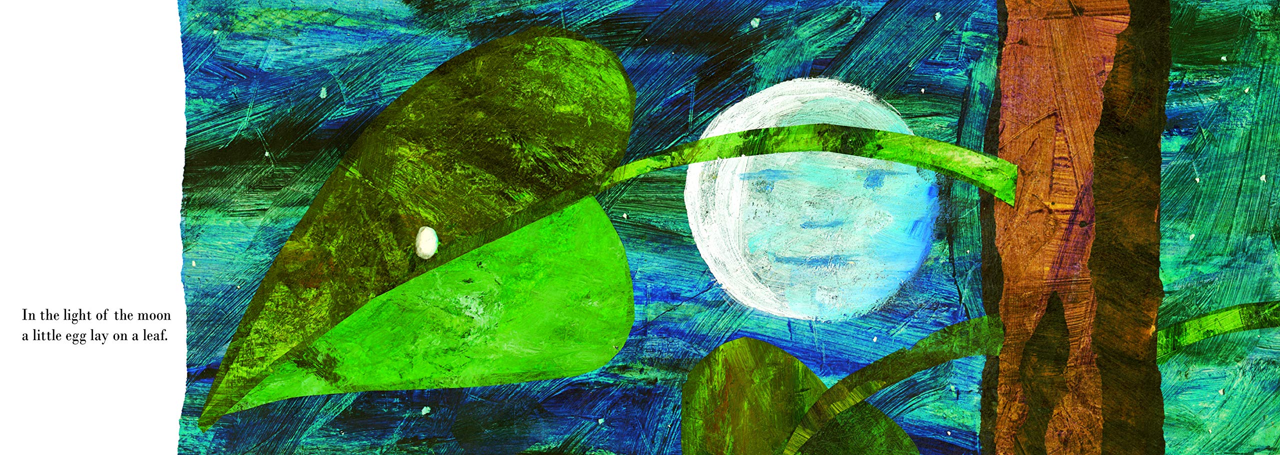 the very hungry caterpillar - Ảnh 4