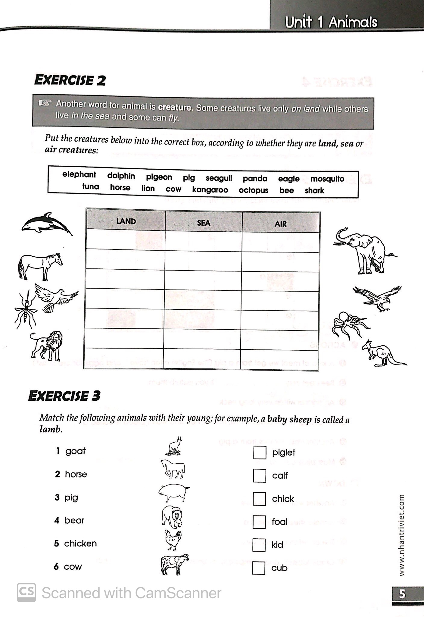 the vocabulary files - a2 level - Ảnh 6
