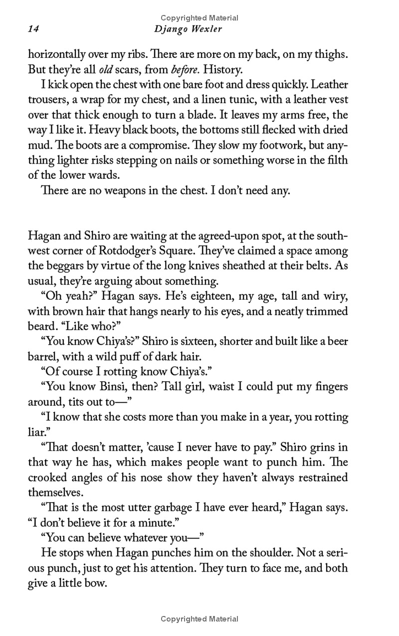 the wells of sorcery book 1: ship of smoke and steel - Ảnh 10
