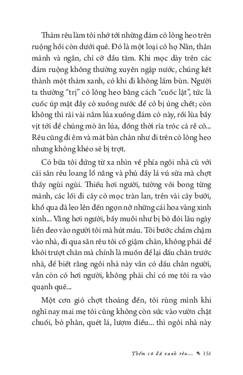 thềm cũ đã xanh rêu - Ảnh 12