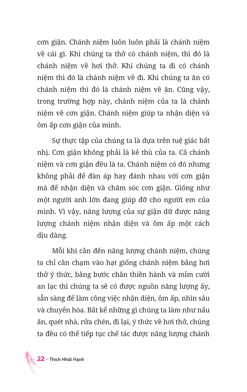thiền sư và em bé 5 tuổi - Ảnh 9