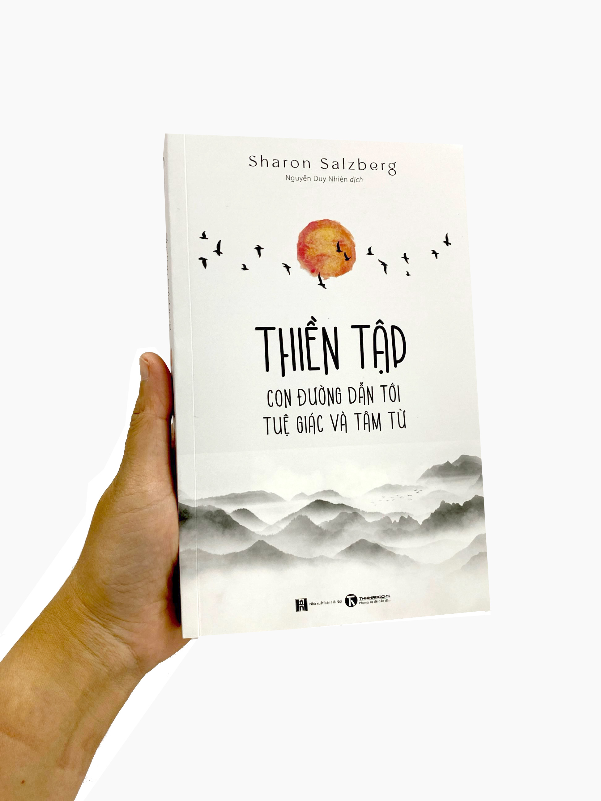 thiền tập - con đường dẫn tới tuệ giác và tâm từ - Ảnh 23