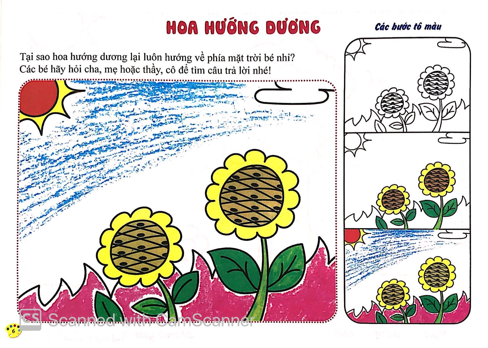 thực vật - tô màu - Ảnh 5