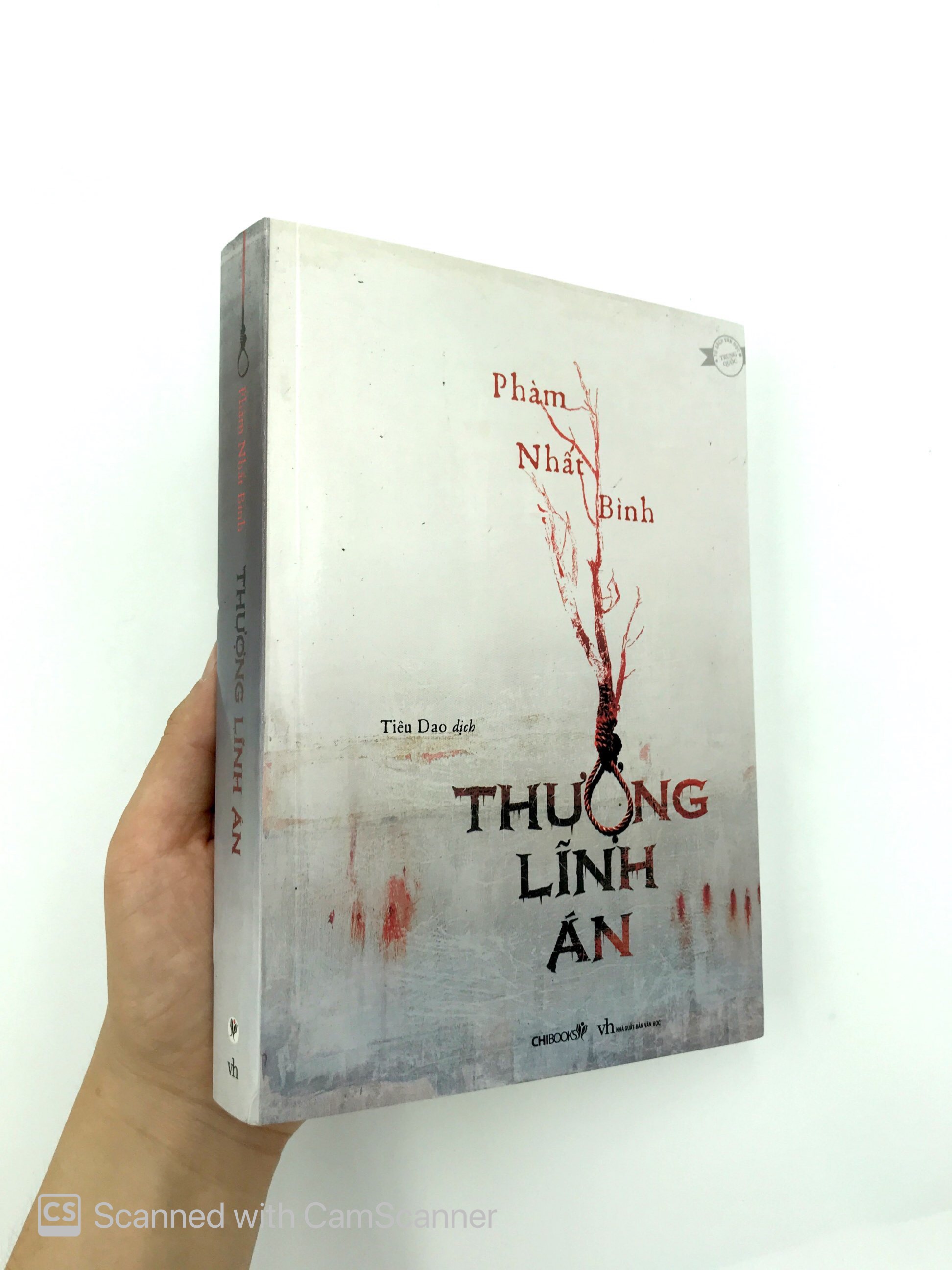 thượng lĩnh án - Ảnh 12