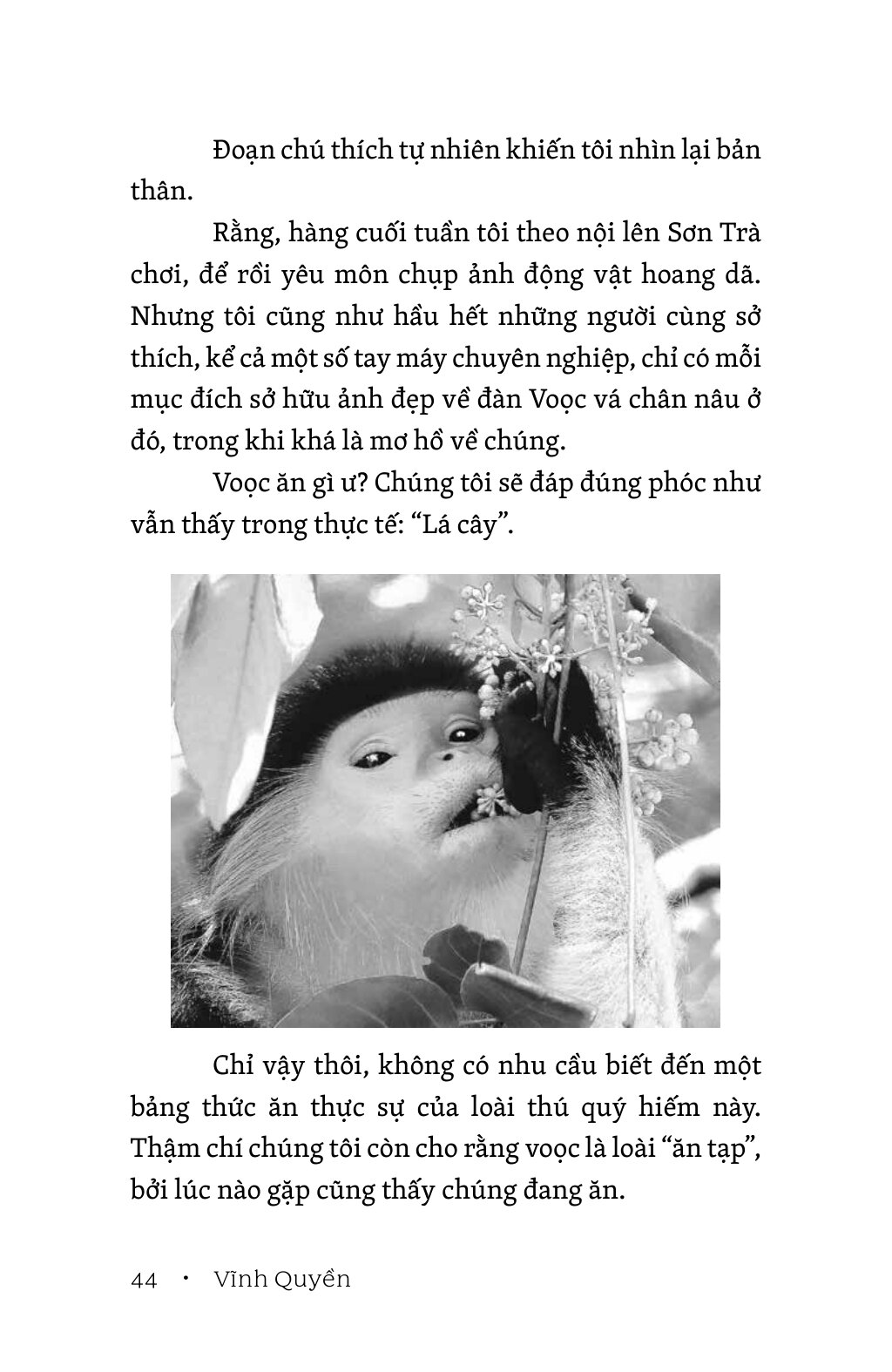Tiếng Của Rừng - Ảnh 12