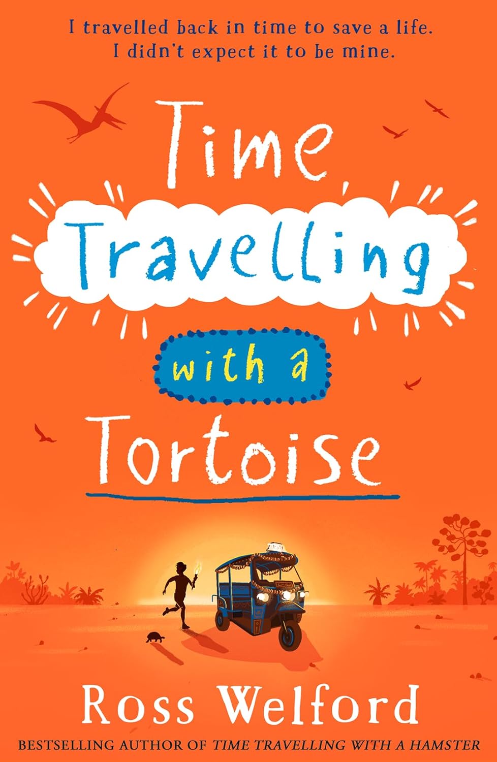 time travelling with a tortoise - Ảnh 4