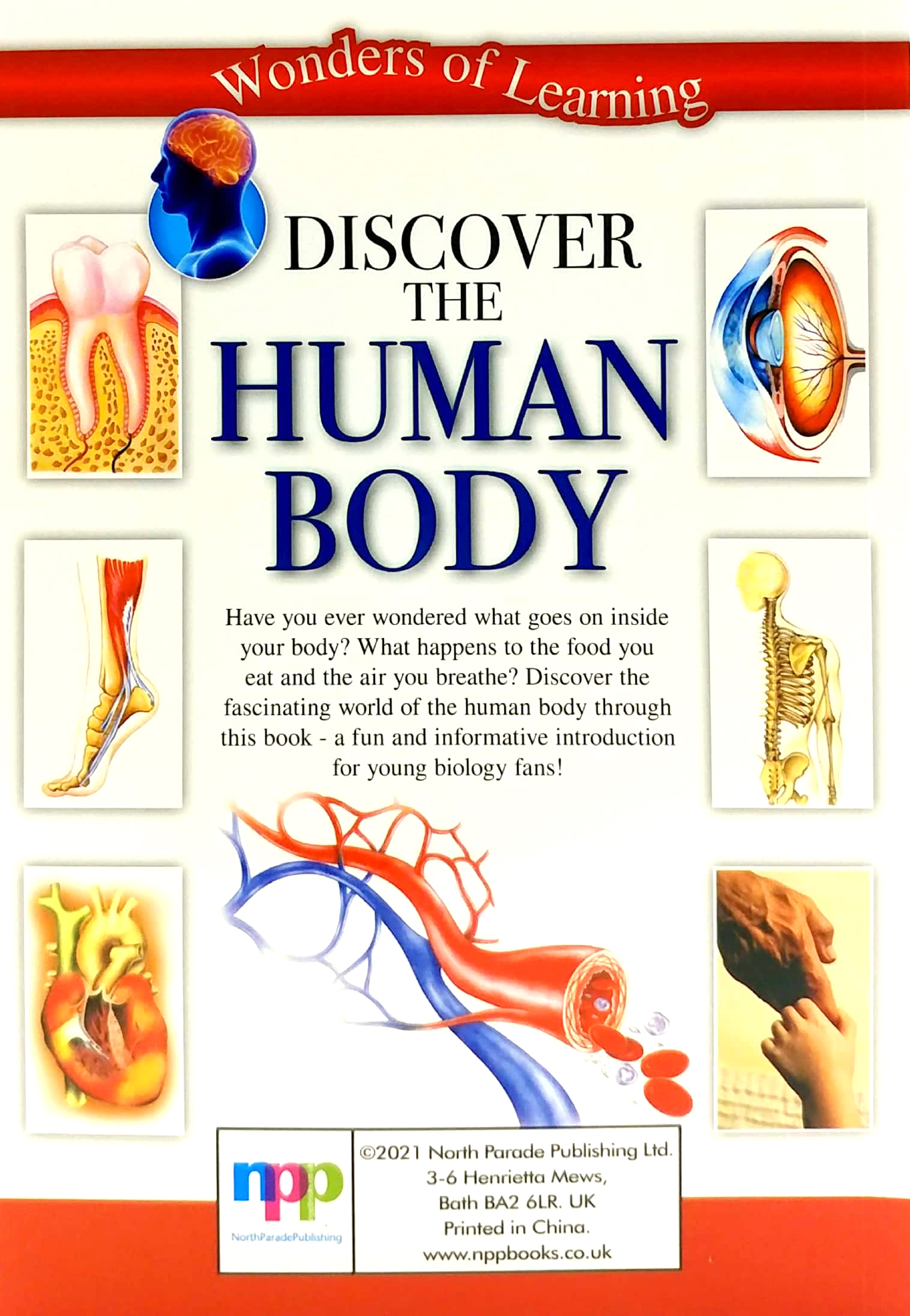 tin set - discover the human body - Ảnh 8