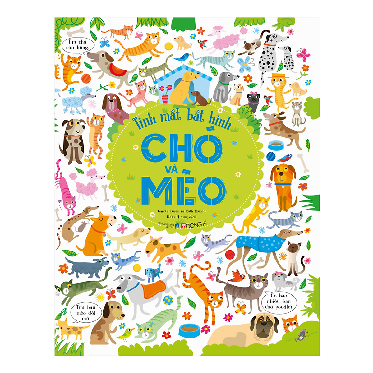 tinh mắt bắt hình - chó và mèo - Ảnh 2