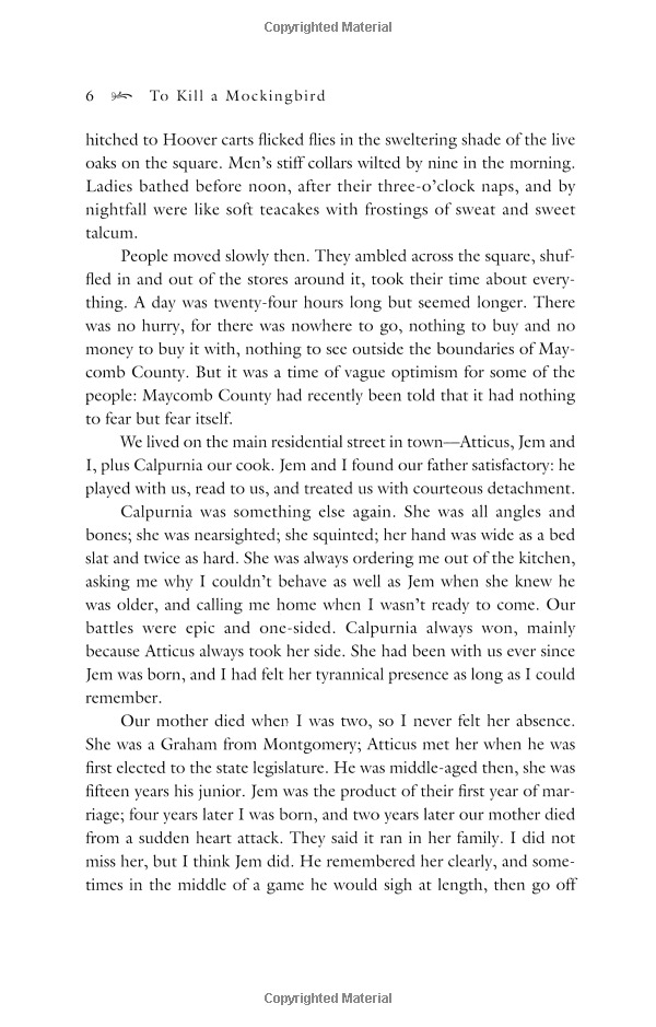 to kill a mockingbird - Ảnh 11