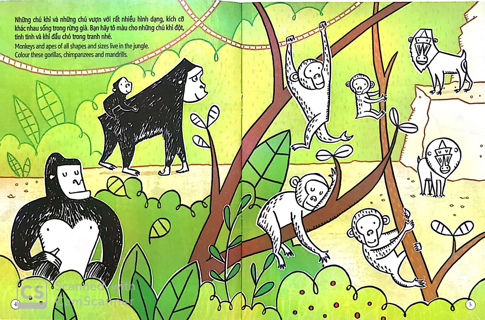 tô màu bóc dán - rừng nhiệt đới - jungle - Ảnh 3