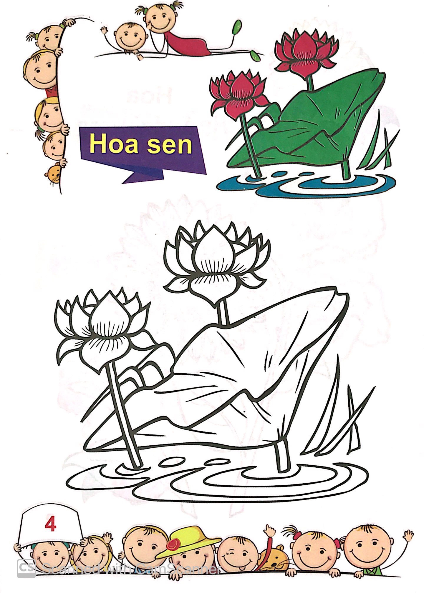 tô màu mẫu giáo - các loài hoa - Ảnh 5