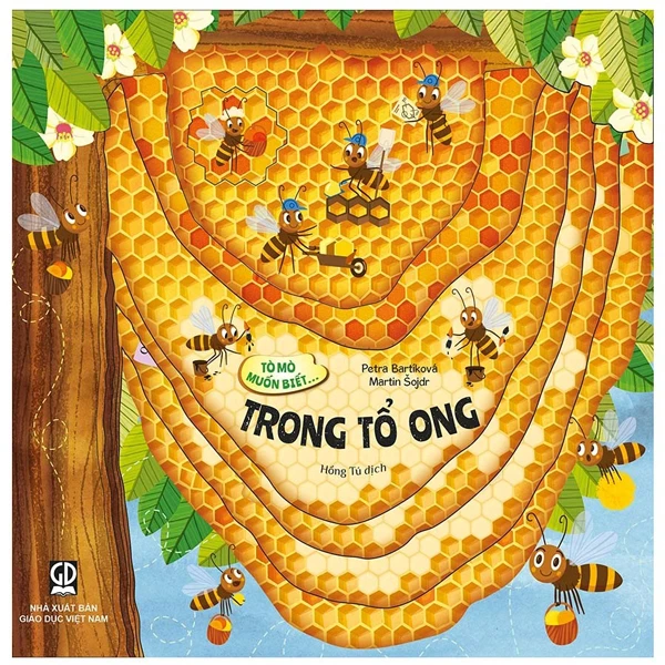 Tò Mò Muốn Biết... - Trong Bóng Đêm - Bìa Cứng - Ảnh 3