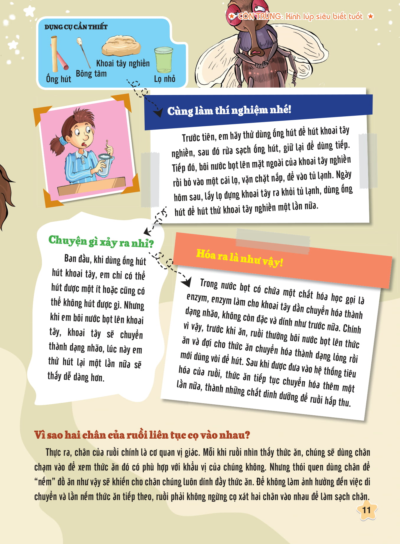 tôi biết bạn biết không - côn trùng - kính lúp siêu biết tuốt - Ảnh 3