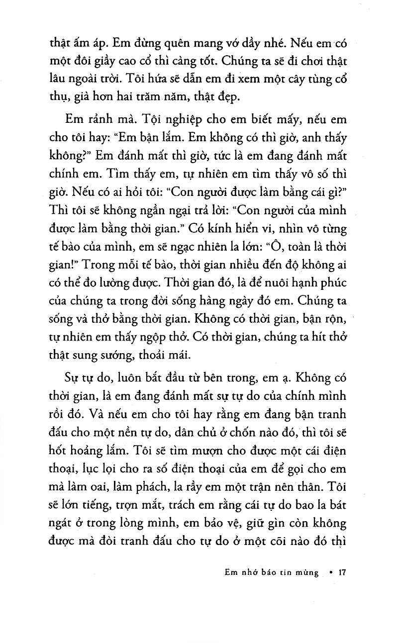 tôi ươm ánh mặt trời - Ảnh 10