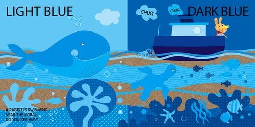 touch, explore and learn colors - Ảnh 5