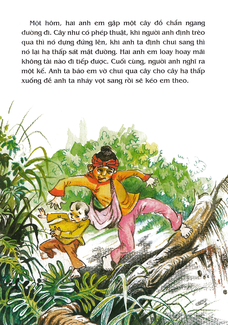 tranh truyện dân gian việt nam - hai anh em và cây thuốc thần (tái bản 2023) - Ảnh 4
