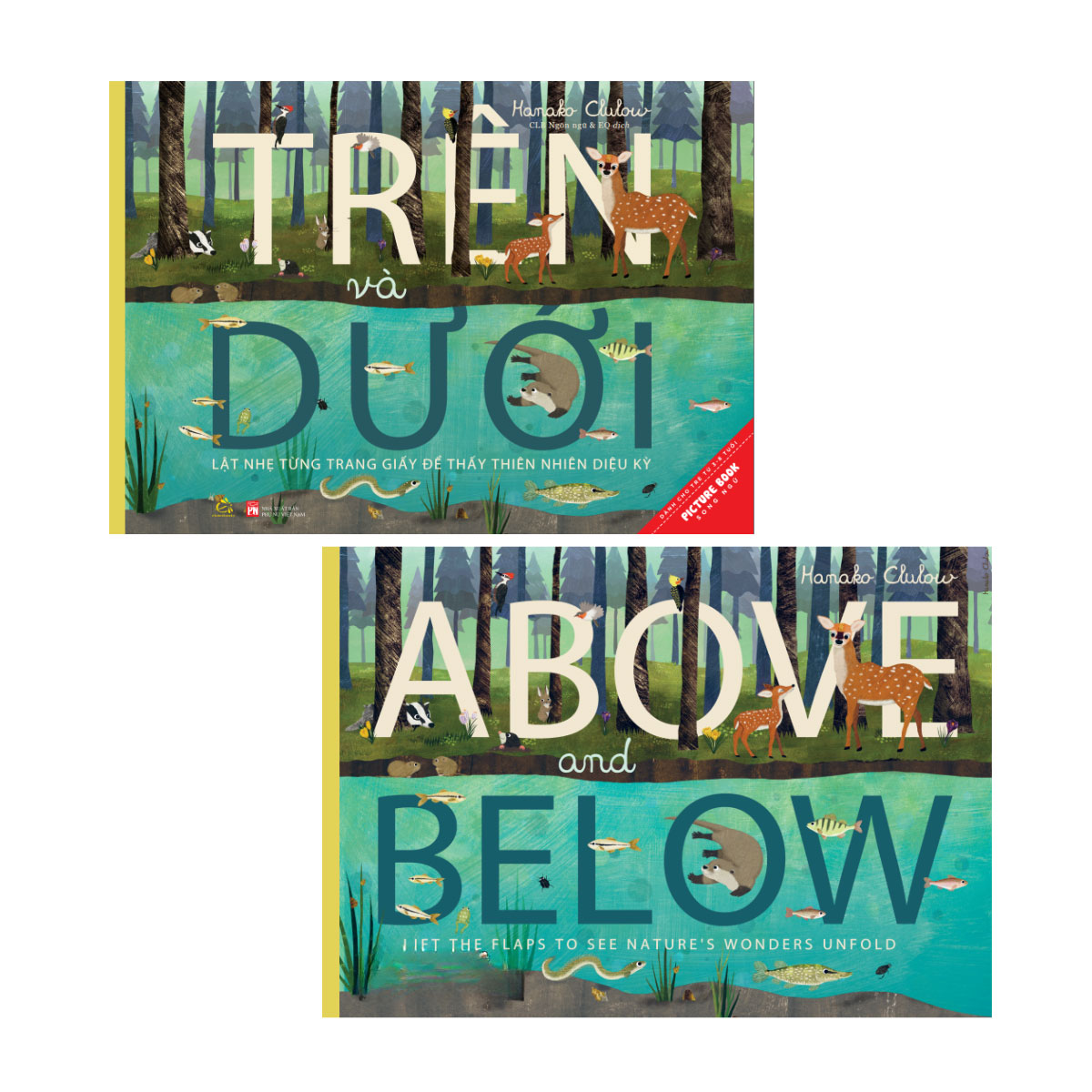 Trên Và Dưới - Above And Below - Ảnh 2
