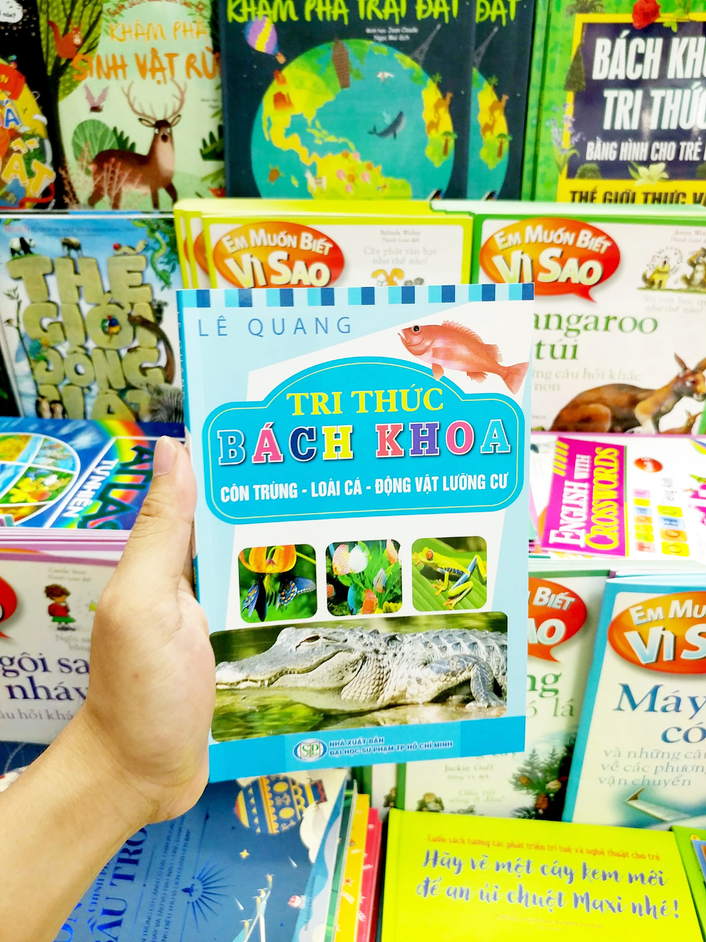 tri thức bách khoa - côn trùng, loài cá, động vật lưỡng cư - Ảnh 7