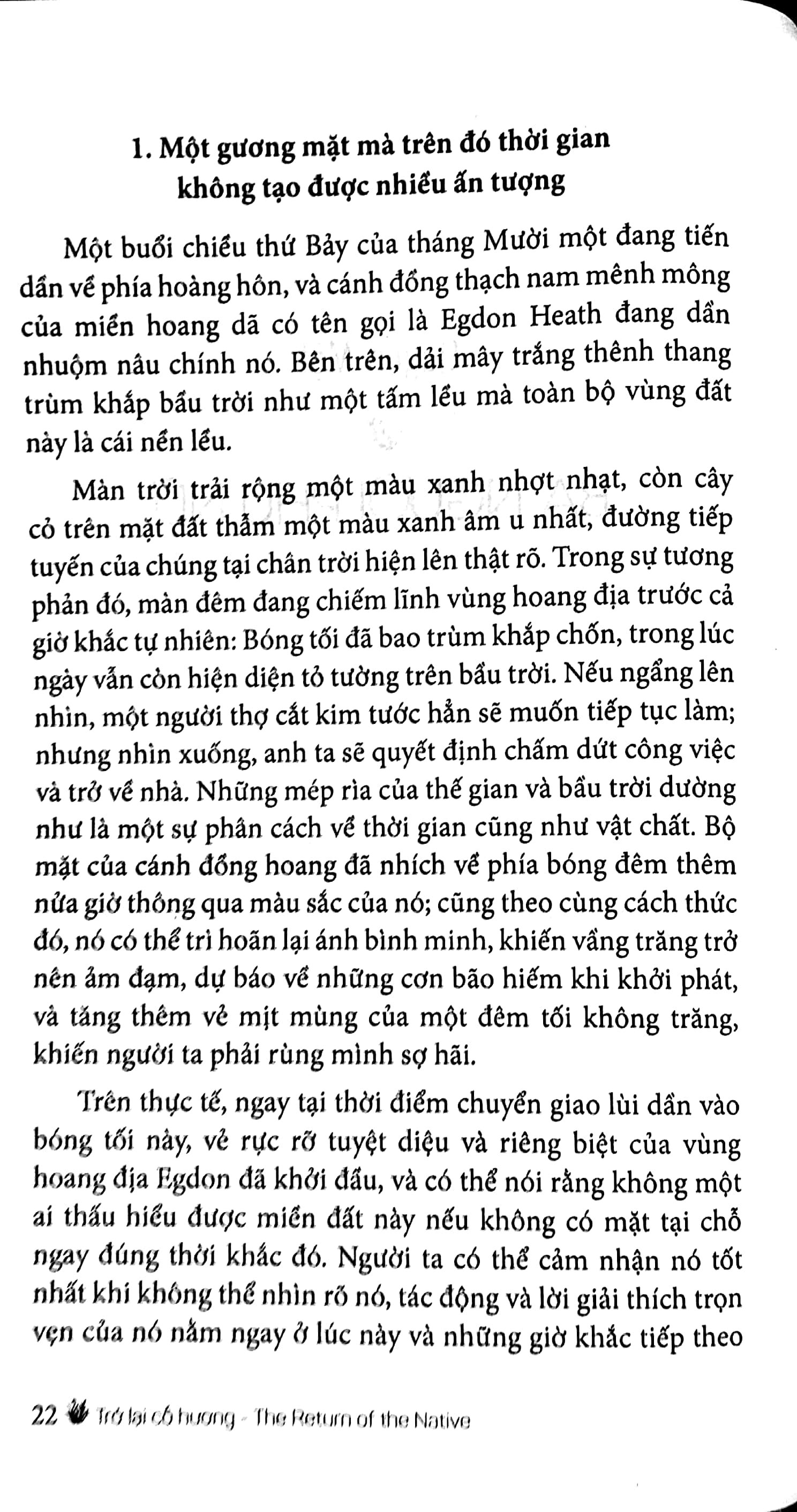 trở lại cố hương - Ảnh 3