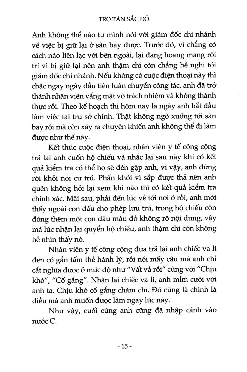tro tàn sắc đỏ - Ảnh 11