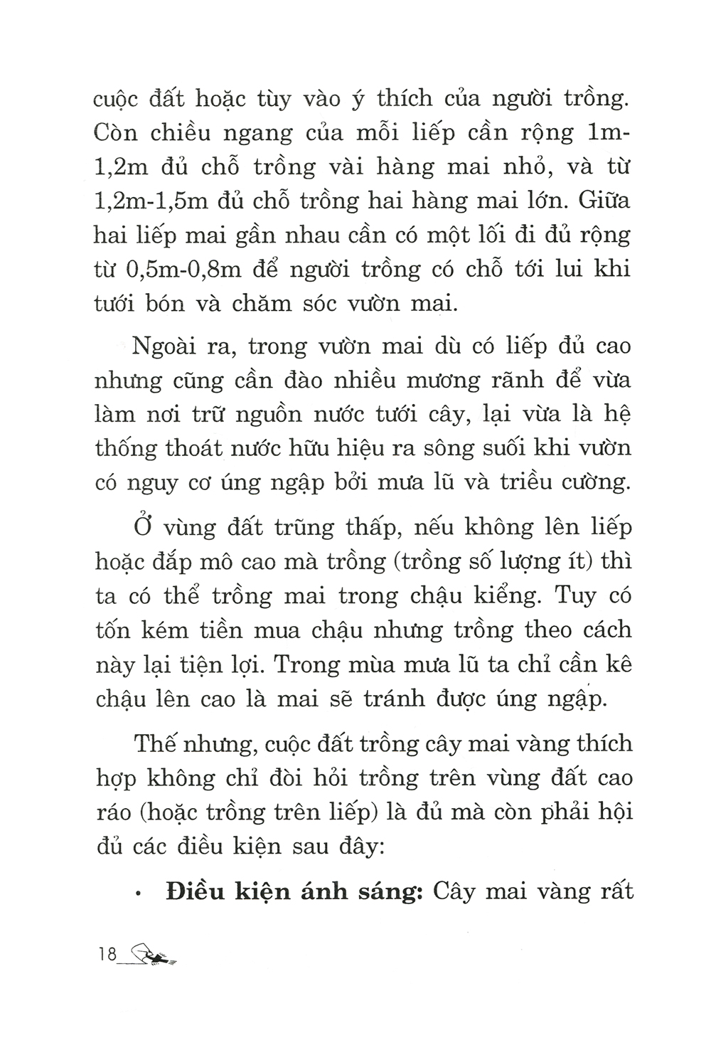 trồng mai - kỹ thuật bón tưới, phòng trừ sâu rầy, bệnh hại - Ảnh 11