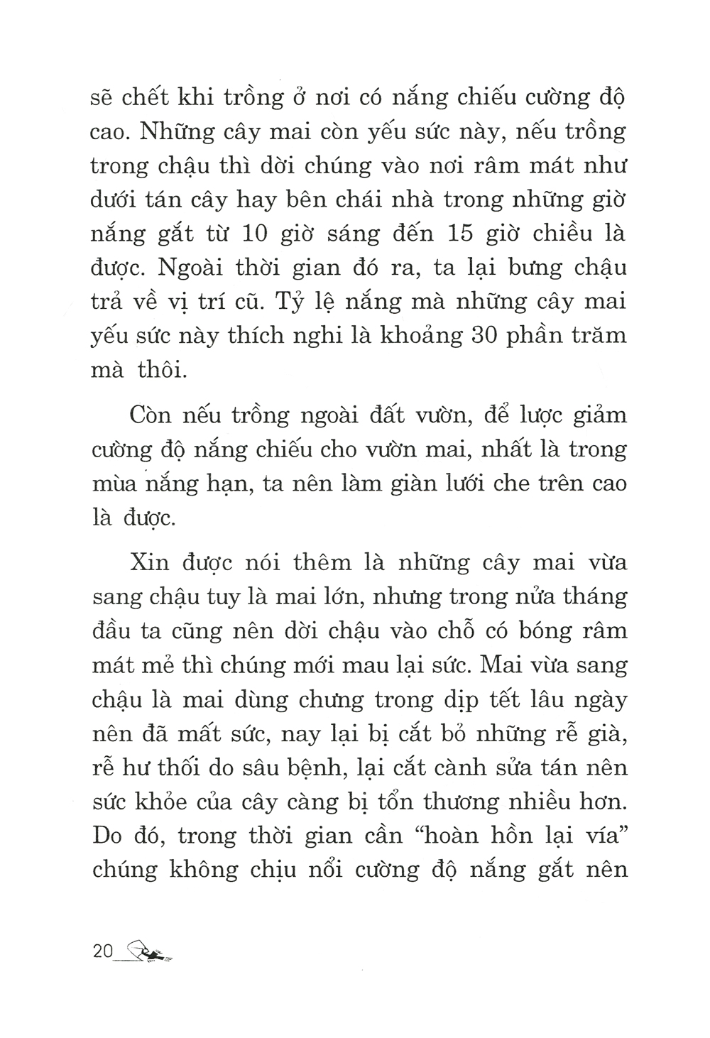 trồng mai - kỹ thuật bón tưới, phòng trừ sâu rầy, bệnh hại - Ảnh 13