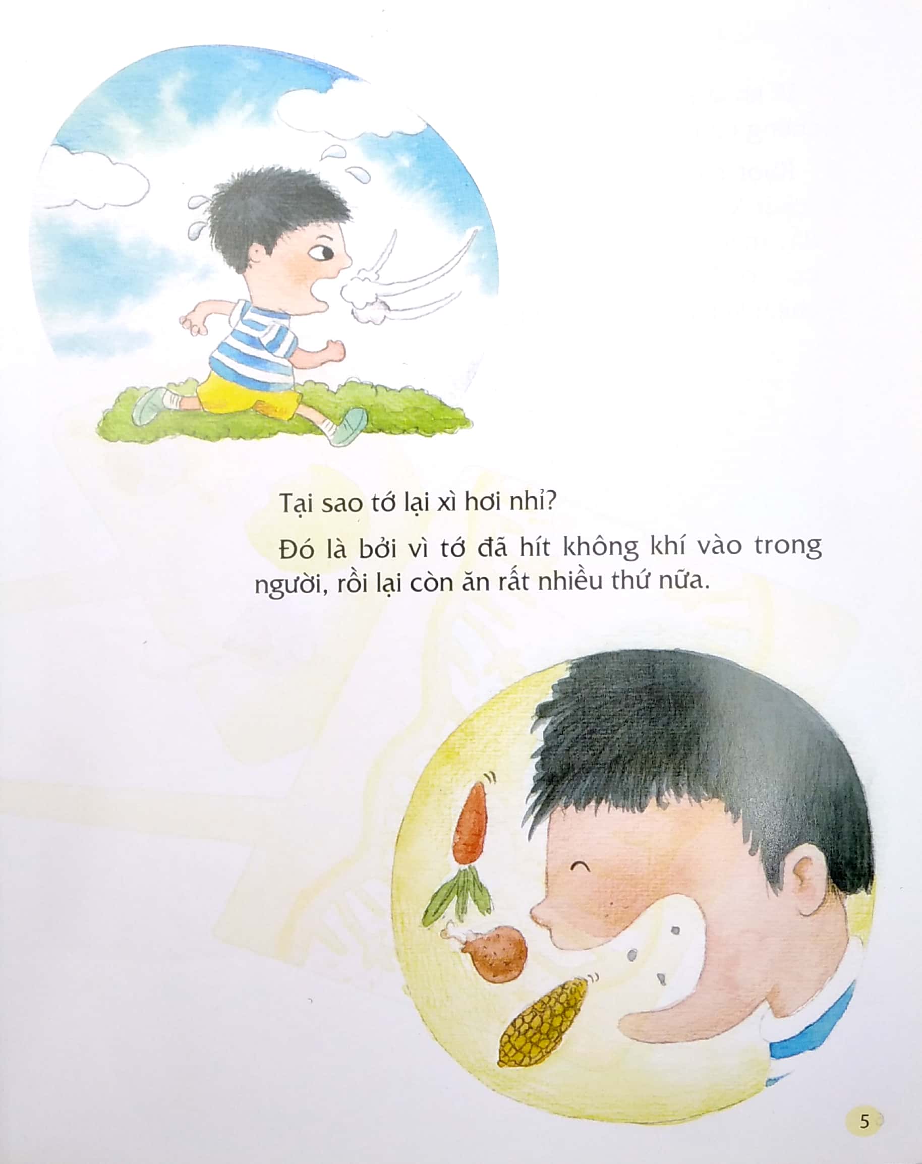 từ đầu đến chân, bao điều bí mật - chuyện xì hơi - Ảnh 4