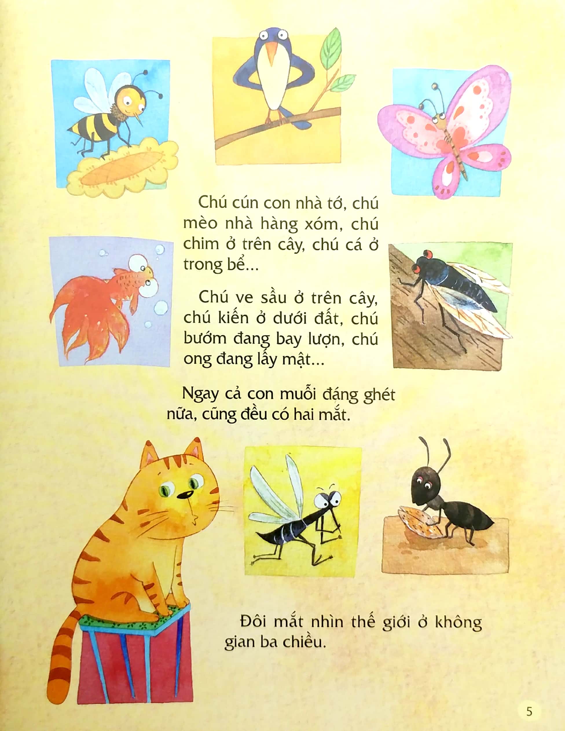 từ đầu đến chân, bao điều bí mật - đôi mắt - Ảnh 4