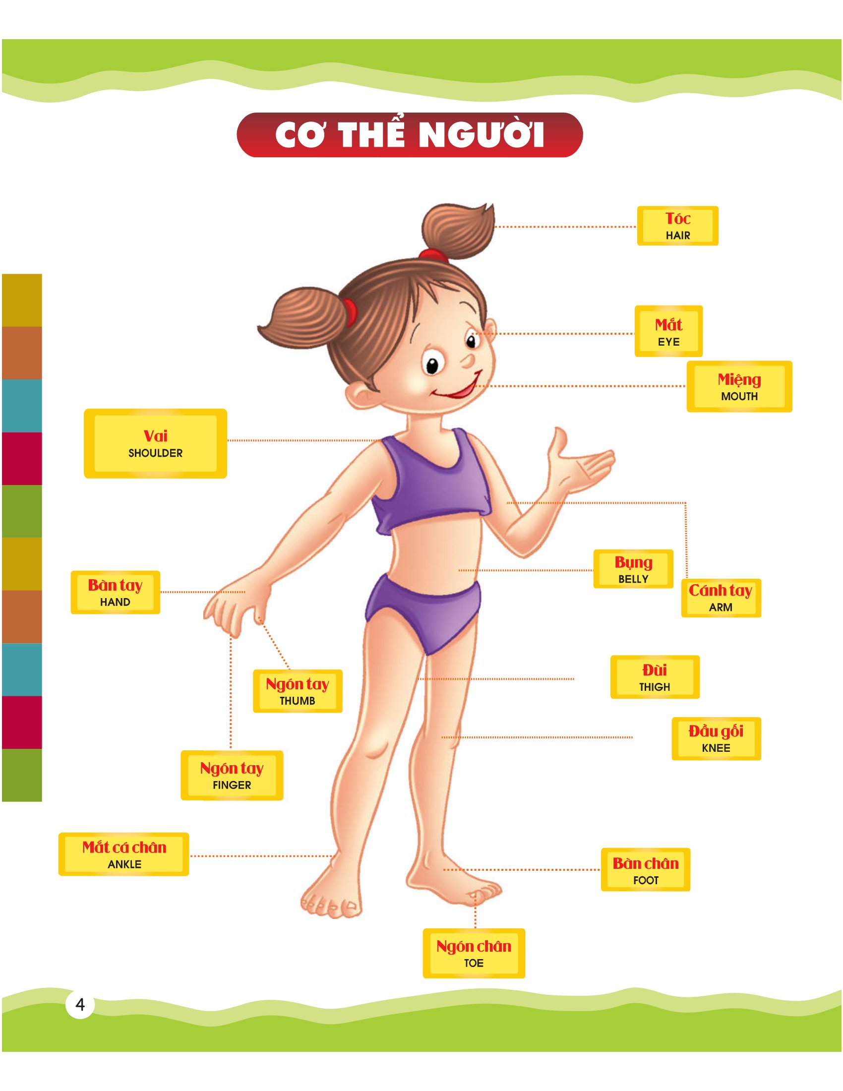 từ điển bằng hình của tôi - em thích miêu tả (dành cho trẻ 4-6 tuổi) - Ảnh 6