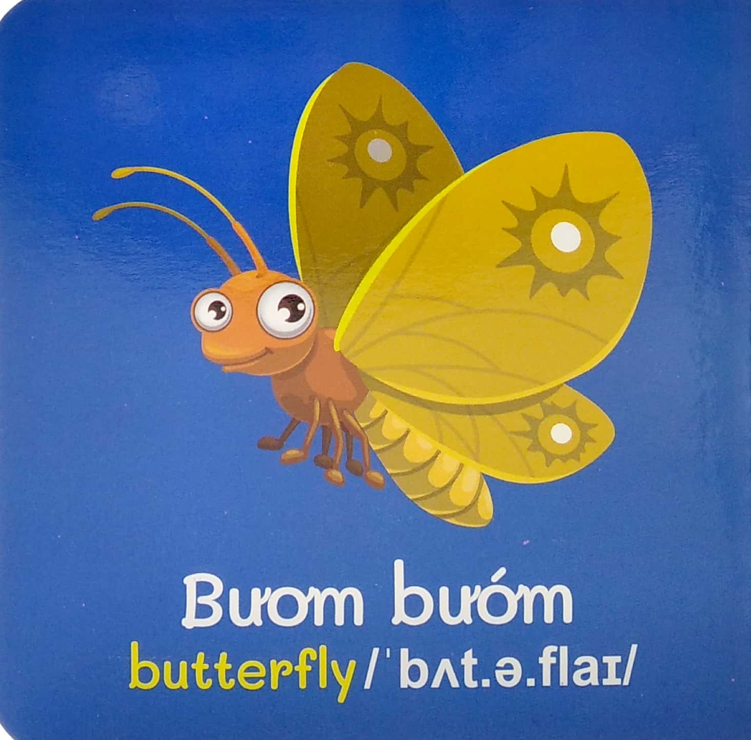 từ điển bằng hình đầu tiên của bé - baby's first picture dictionary - insects - côn trùng - Ảnh 3