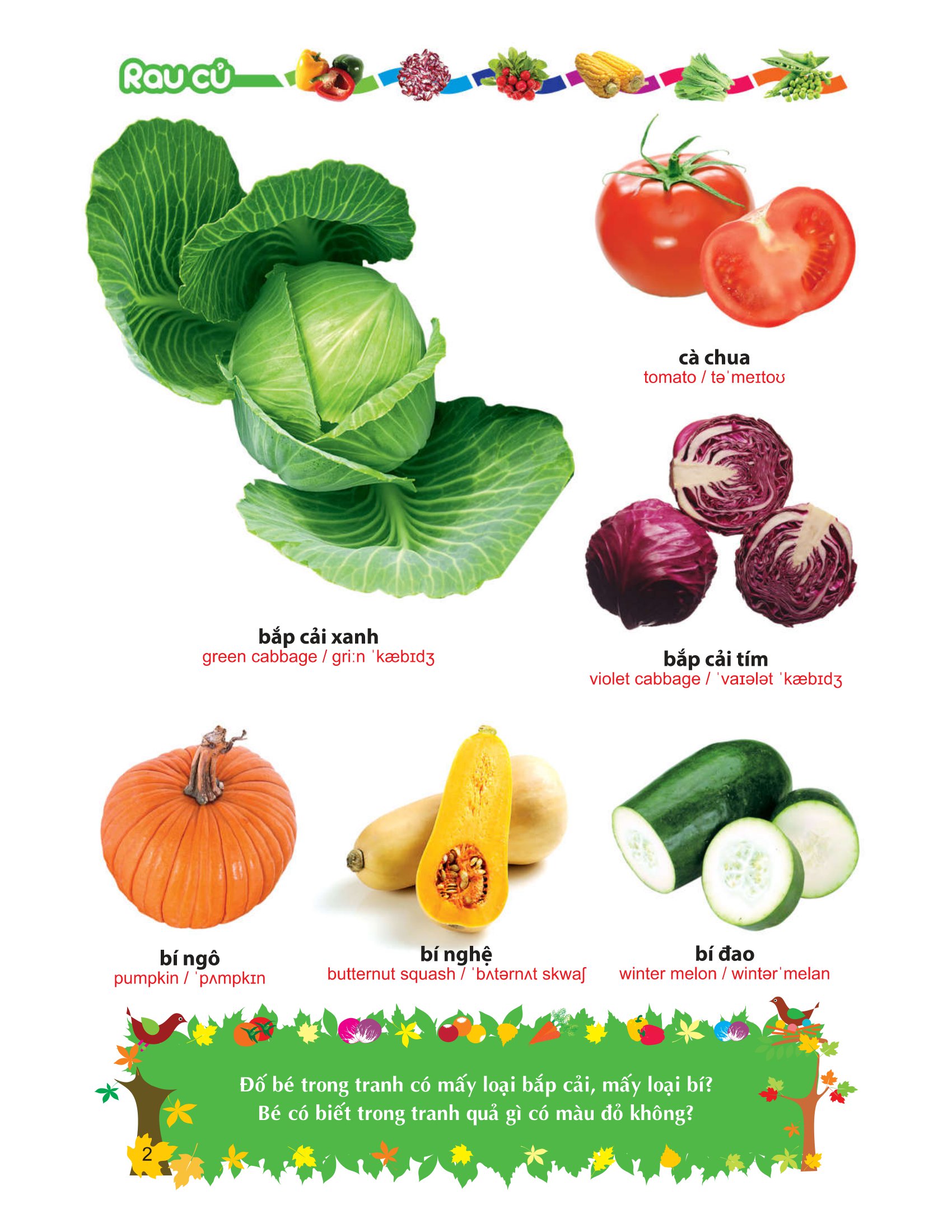 từ điển tranh về rau - củ - quả - hoa - Ảnh 3