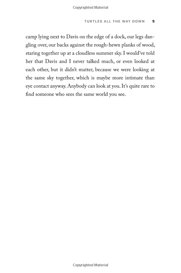 turtles all the way down paperback - Ảnh 9