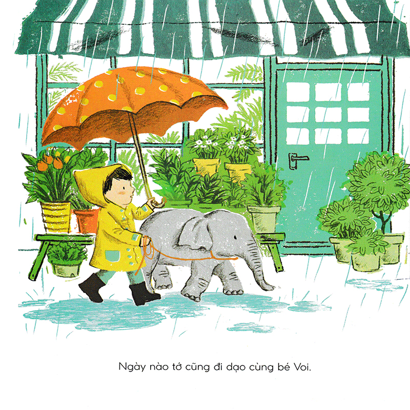tuyệt đối cấm voi - Ảnh 6